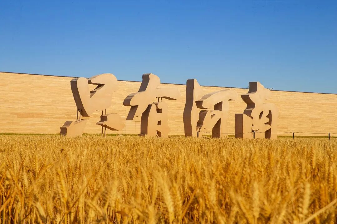 下一片文旅蓝海在哪？河南官宣新蓝图：3.65万平方公里“黄河古都群”将成世界级目的地。